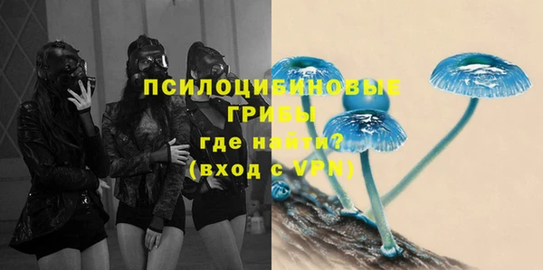 шишки Баксан