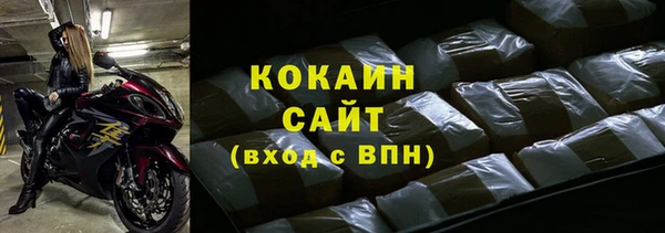 шишки Баксан