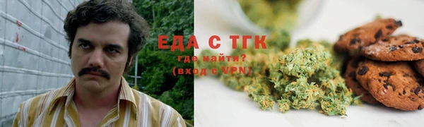 гидра Армянск