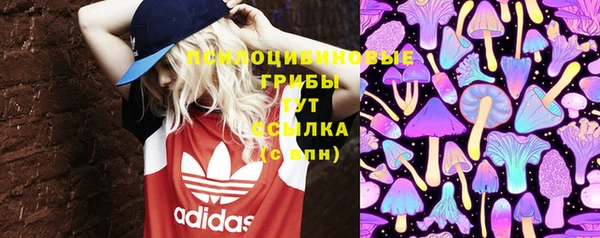 MDMA Premium VHQ Аркадак