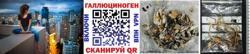 Псилоцибиновые грибы мицелий  наркошоп  Камызяк 